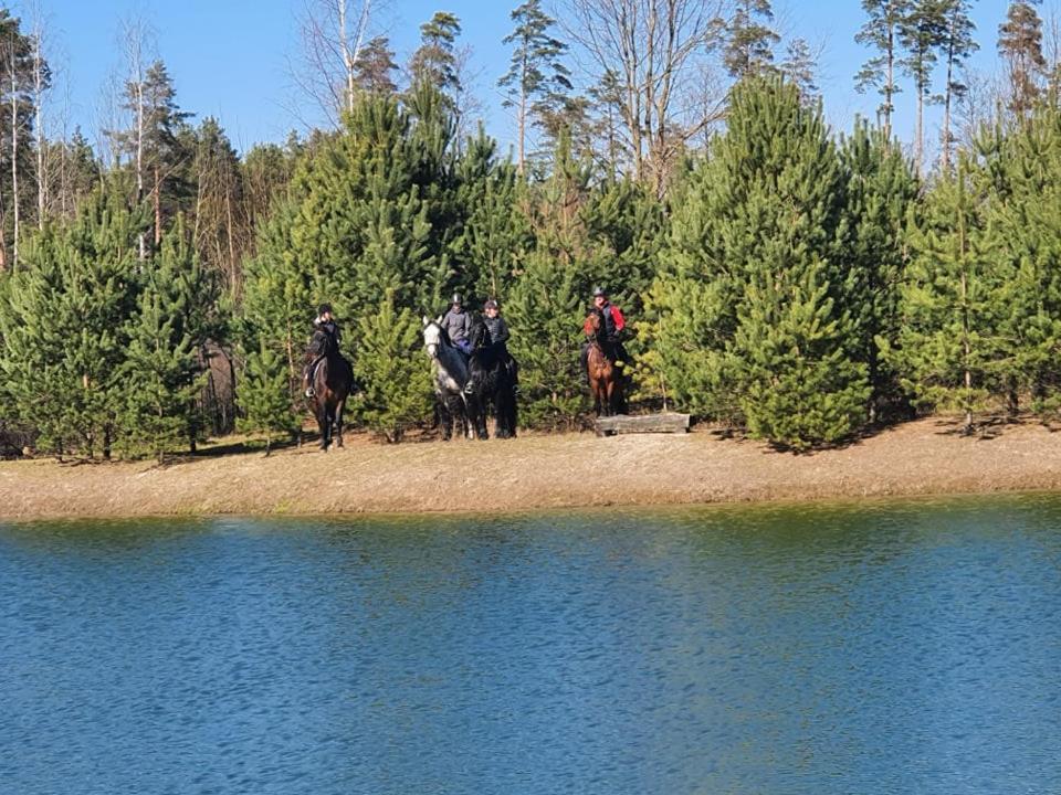 Viesu Maja Forrest Villa Dzimtmisa Kültér fotó
