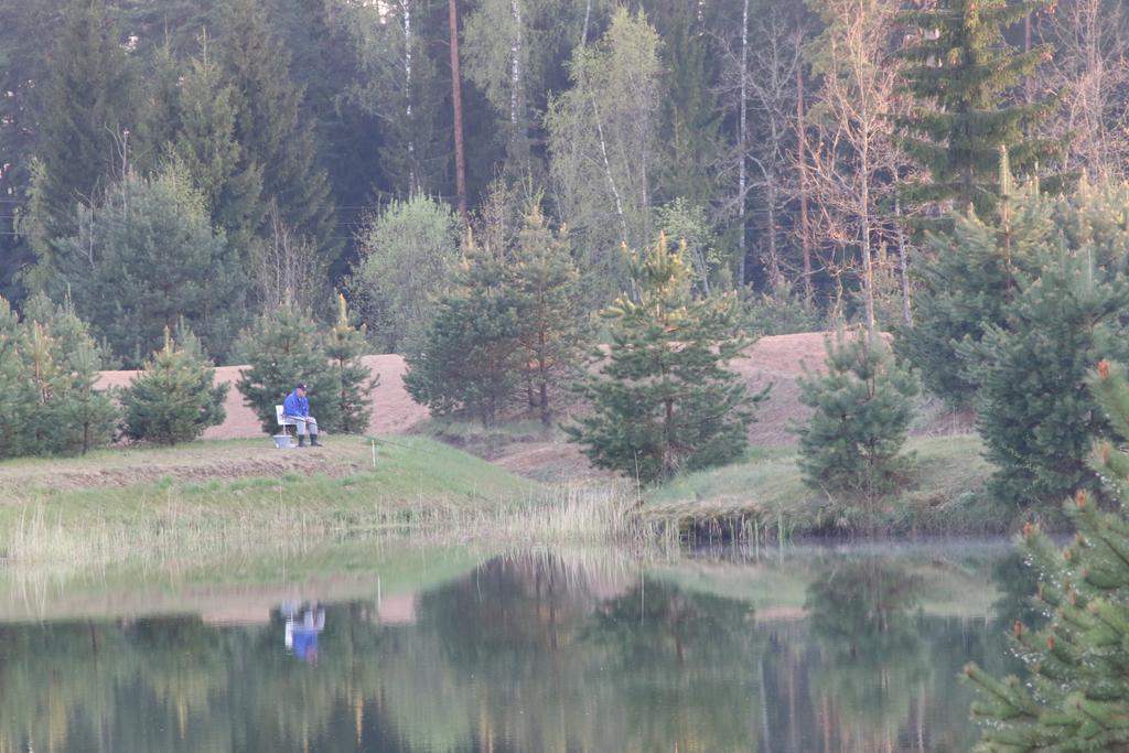 Viesu Maja Forrest Villa Dzimtmisa Kültér fotó
