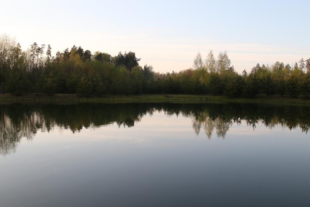 Viesu Maja Forrest Villa Dzimtmisa Kültér fotó