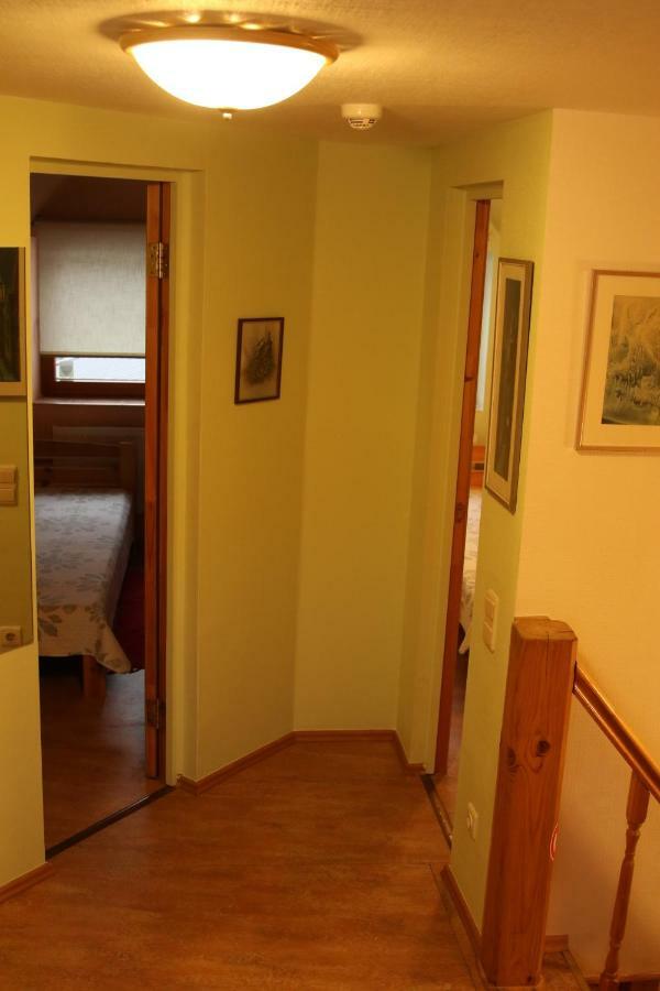Viesu Maja Forrest Villa Dzimtmisa Kültér fotó