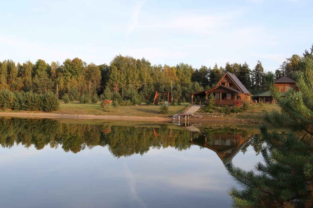 Viesu Maja Forrest Villa Dzimtmisa Kültér fotó