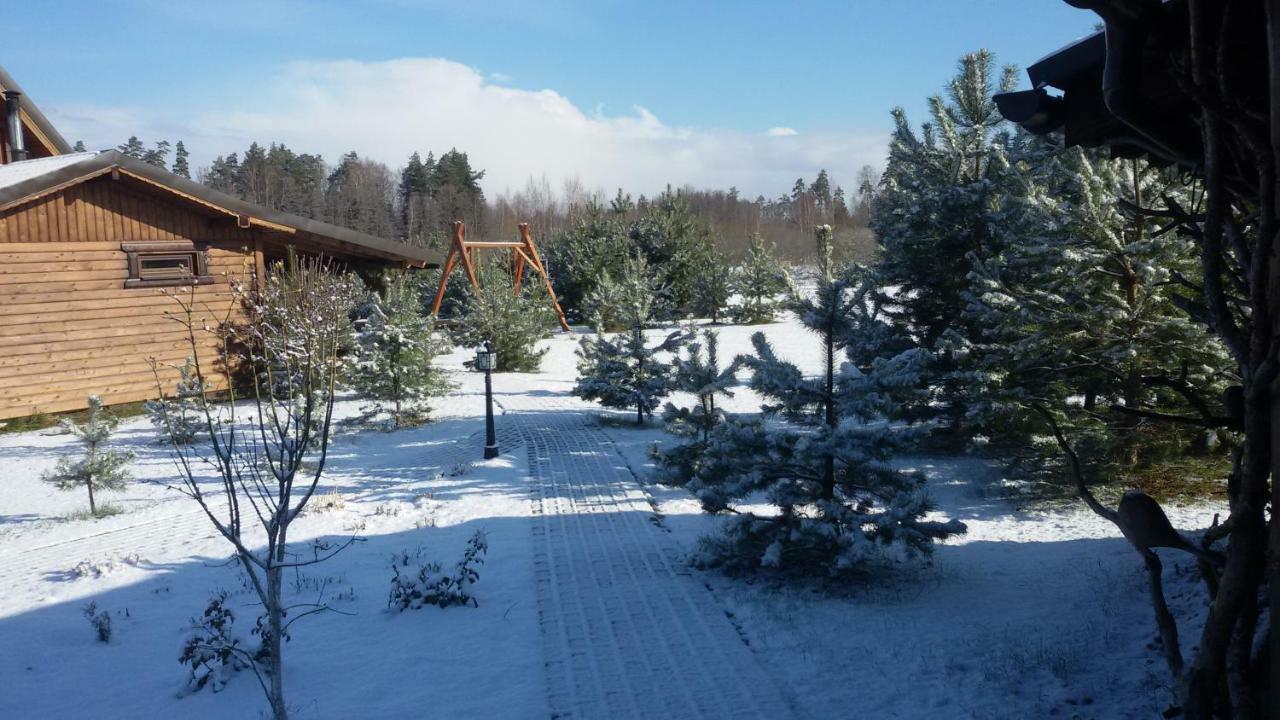 Viesu Maja Forrest Villa Dzimtmisa Kültér fotó