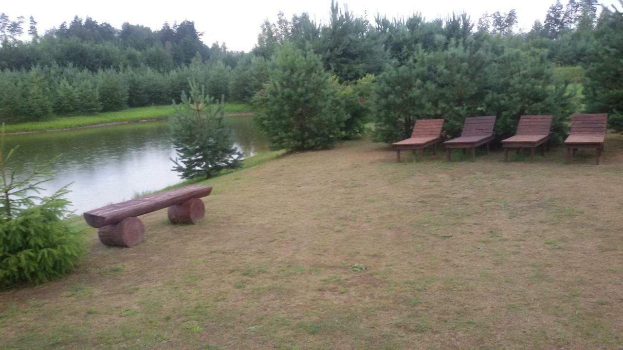 Viesu Maja Forrest Villa Dzimtmisa Kültér fotó